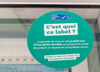 Problemi per il nuovo standard di sostenibilità MSC