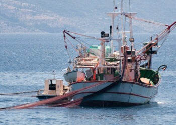 Quote oltre i criteri storici. Seas At Risk esorta al cambiamento