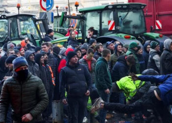 Scognamiglio: fallimento politiche Bruxelles agricoltura e pesca