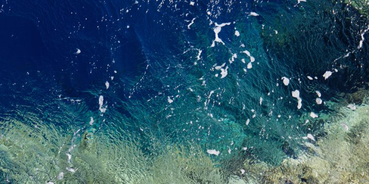 Ancora inceppata la legge UE sul ripristino della natura