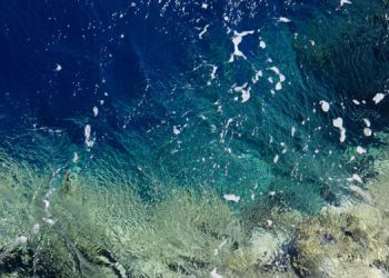 Ancora inceppata la legge UE sul ripristino della natura