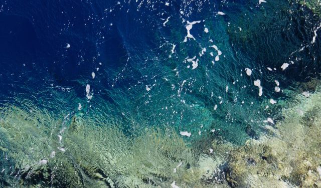 Ancora inceppata la legge UE sul ripristino della natura