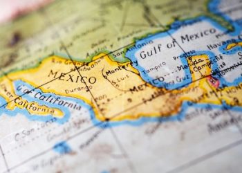 In Messico è record di produzione di gamberi 