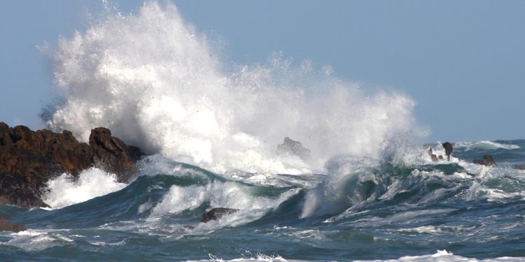 Per Pasqua il meteo influenza il prezzo del pesce