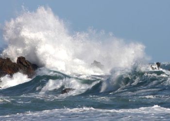 Per Pasqua il meteo influenza il prezzo del pesce
