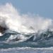 Per Pasqua il meteo influenza il prezzo del pesce