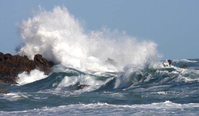 Per Pasqua il meteo influenza il prezzo del pesce