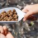 La Norvegia aumenta l'uso di materie prime locali nei mangimi per acquacoltura