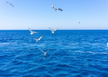 Cambiamenti climatici e impatto sui mari europei