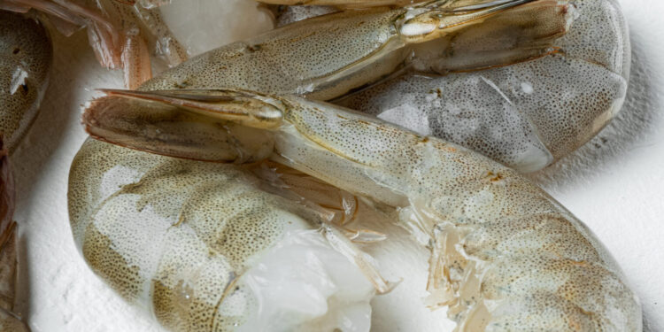 Thai Union Group rivoluziona l'industria dei gamberi