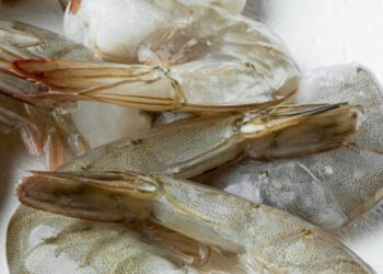 Thai Union Group rivoluziona l'industria dei gamberi