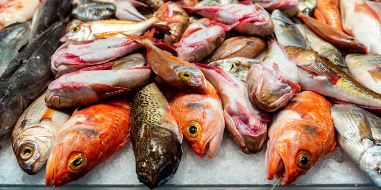 Pescetarianesimo, un equilibrio tra etica, sostenibilità e gastronomia