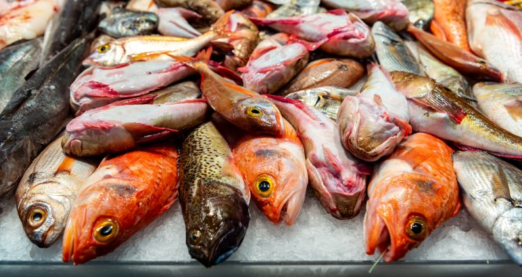Pescetarianesimo, un equilibrio tra etica, sostenibilità e gastronomia
