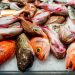Pescetarianesimo, un equilibrio tra etica, sostenibilità e gastronomia