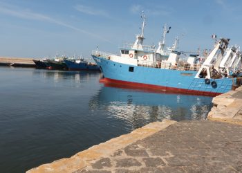 Lega: grazie a noi, ribadita in UE centralità cooperazione gestione gambero rosso