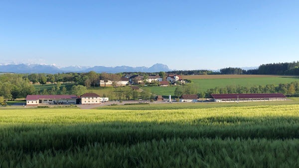 Holzinger: pionieri dell'innovazione nel settore ittico austriaco