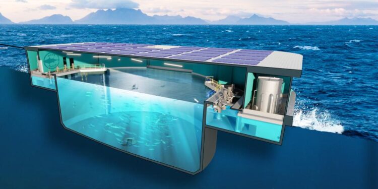 Verso l'allevamento innovativo di tonno