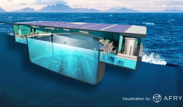 Verso l'allevamento innovativo di tonno