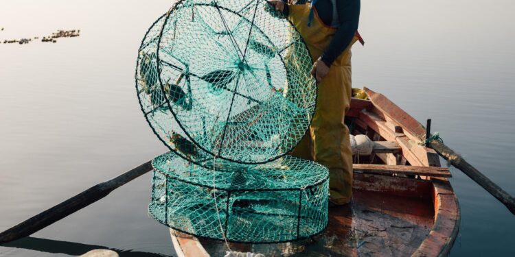 Nuovo studio FAO-GFCM sulle donne nella pesca