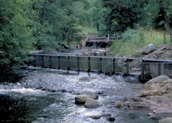 Monitoraggio del salmone scozzese: 60 anni di raccolta dati