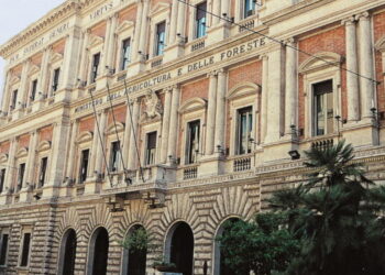 Alleanza Cooperative: bene stop del Masaf ai 200 ami per palamito ricreativo 