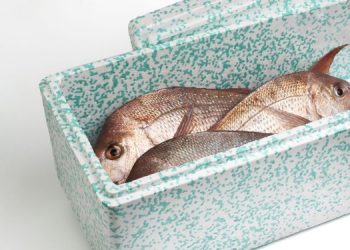 Rivoluzione nell'imballaggio per il settore ittico