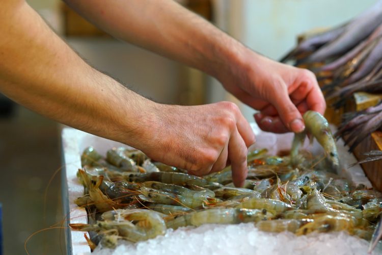 Calo dell'11% nelle esportazioni di gamberi dall'Ecuador