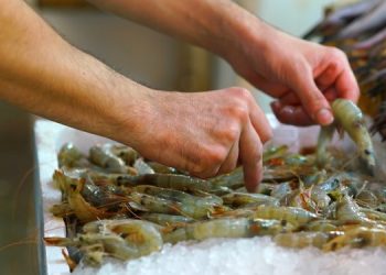 Calo dell'11% nelle esportazioni di gamberi dall'Ecuador