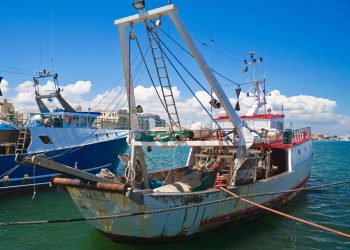 L'Italia fanalino di coda dell'Europa per la protezione dei mari