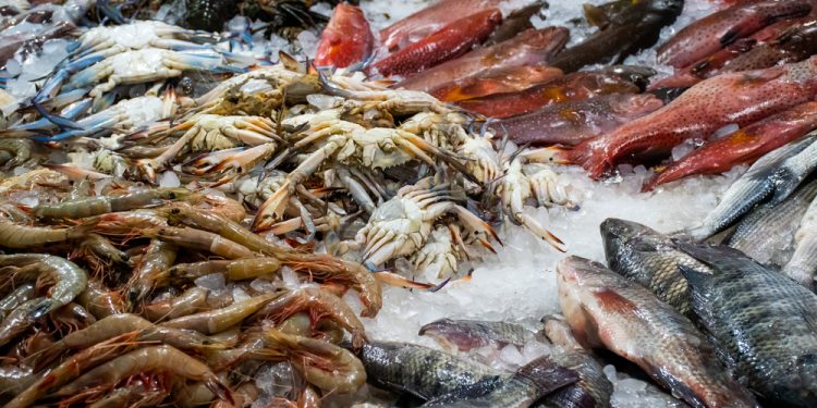 Studio nel New Hampshire rivela presenza di PFAS nei prodotti ittici