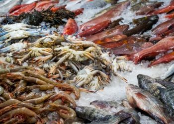 Studio nel New Hampshire rivela presenza di PFAS nei prodotti ittici