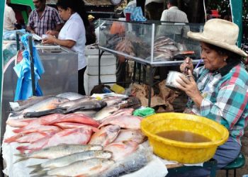 Il Perù ha aumentato il consumo interno di prodotti ittici 