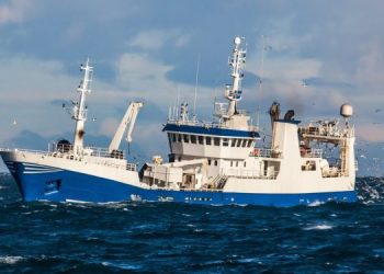 Nuovi diritti di pesca per l'UE nel Pacifico Settentrionale