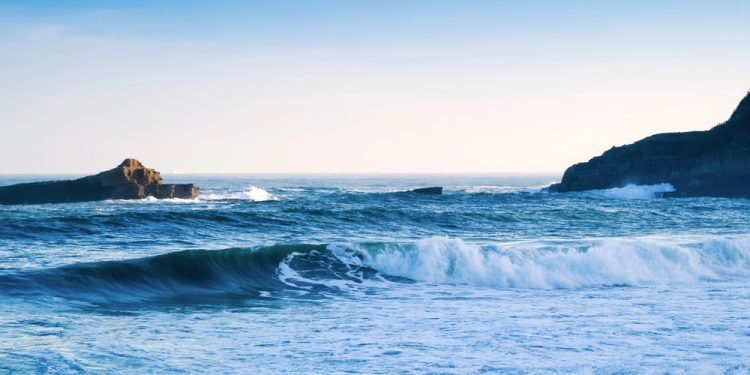 Inquinamento da microplastiche: una sfida globale