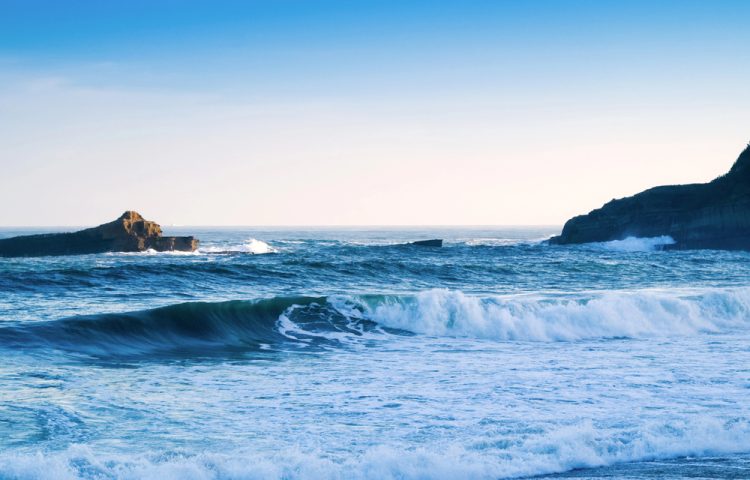 Inquinamento da microplastiche: una sfida globale