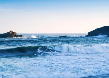 Inquinamento da microplastiche: una sfida globale