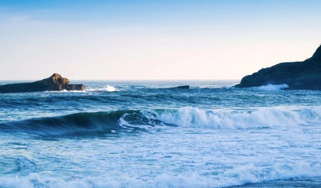 Inquinamento da microplastiche: una sfida globale