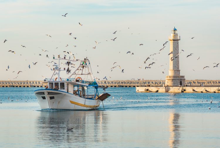 UE, Fedagripesca chiede proroga del regime quadro di aiuti anche per pesca e acquacoltura
