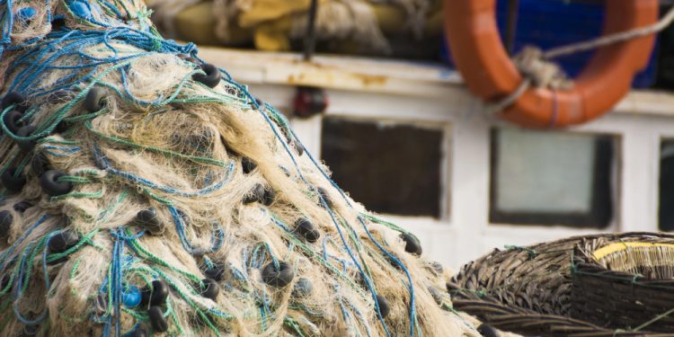 Da Federpesca gli auguri a Laurenza, segretaria generale Uila Pesca