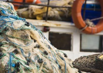 Da Federpesca gli auguri a Laurenza, segretaria generale Uila Pesca