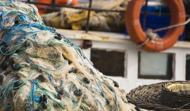 Da Federpesca gli auguri a Laurenza, segretaria generale Uila Pesca