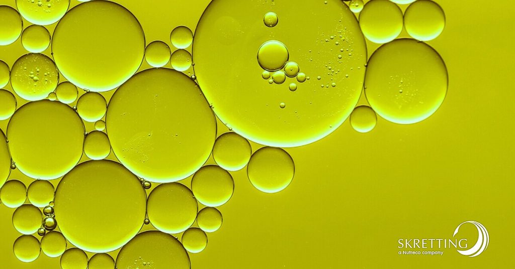 Skretting Italia adotta l’olio di alghe come fonte di omega-3