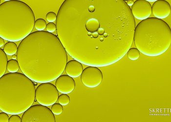 Skretting Italia adotta l’olio di alghe come fonte di omega-3