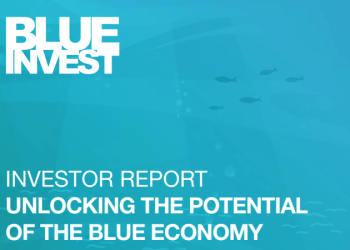 Insights dal BlueInvest Investor Report 2024
