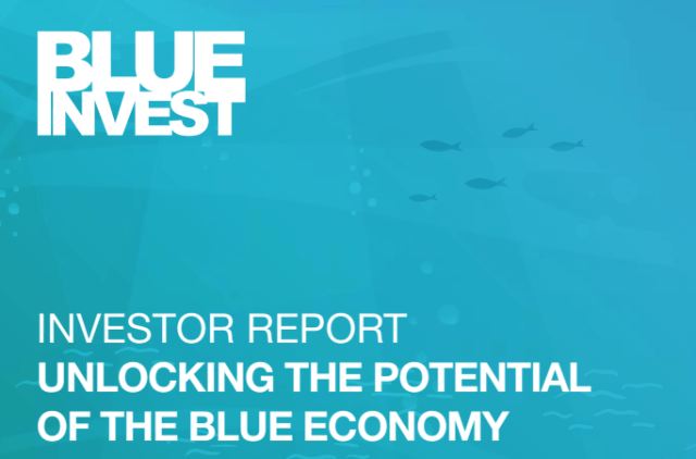 Insights dal BlueInvest Investor Report 2024