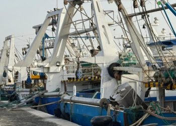La bussola. La pesca professionale tra politiche riduttive e nuovi scenari
