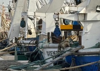 Alleanza: escludere carburante pescherecci da revisione direttiva tassazione energia