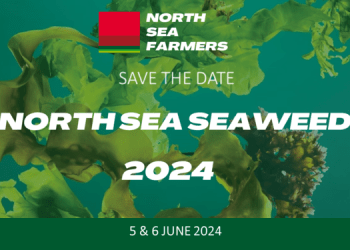 A giugno il North Sea Seaweed 2024