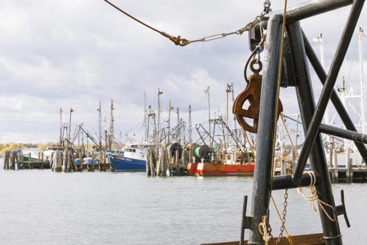 IOTC con risultati deludenti per la flotta europea
