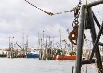 IOTC con risultati deludenti per la flotta europea
